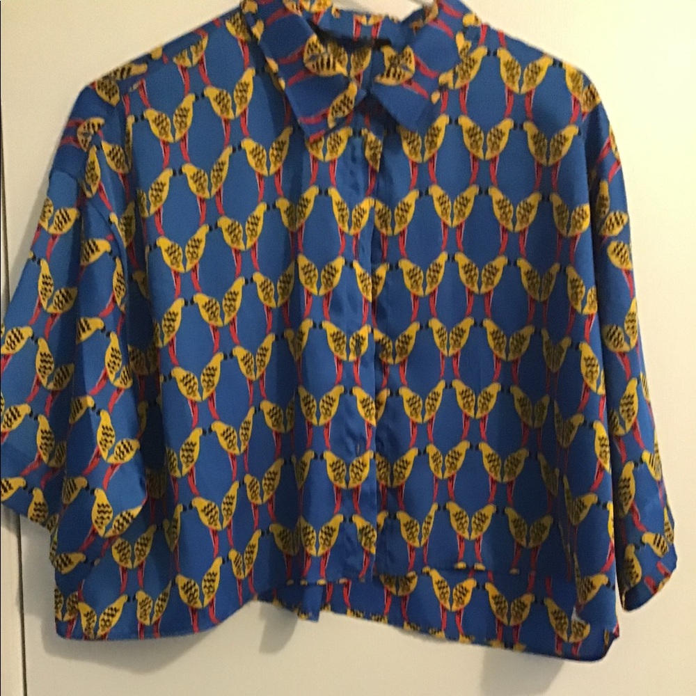 Zara cropped blouse